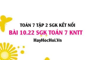 Bài 10.22 SGK Toán 7 Tập 2 Kết nối tri thức: Tính diện tích khối gạch và kích thước viên gạch